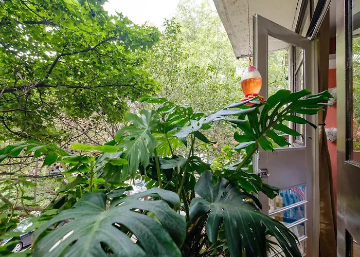 Casa Itzae B&b- Lincoln Park Bed and breakfast