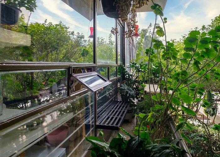 Bed and breakfast Casa Itzae B&b- Lincoln Park