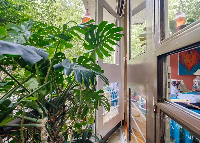 Bed and breakfast Casa Itzae B&b- Lincoln Park *