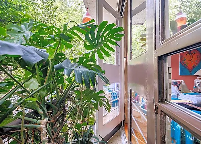 Casa Itzae B&b- Lincoln Park Bed and breakfast